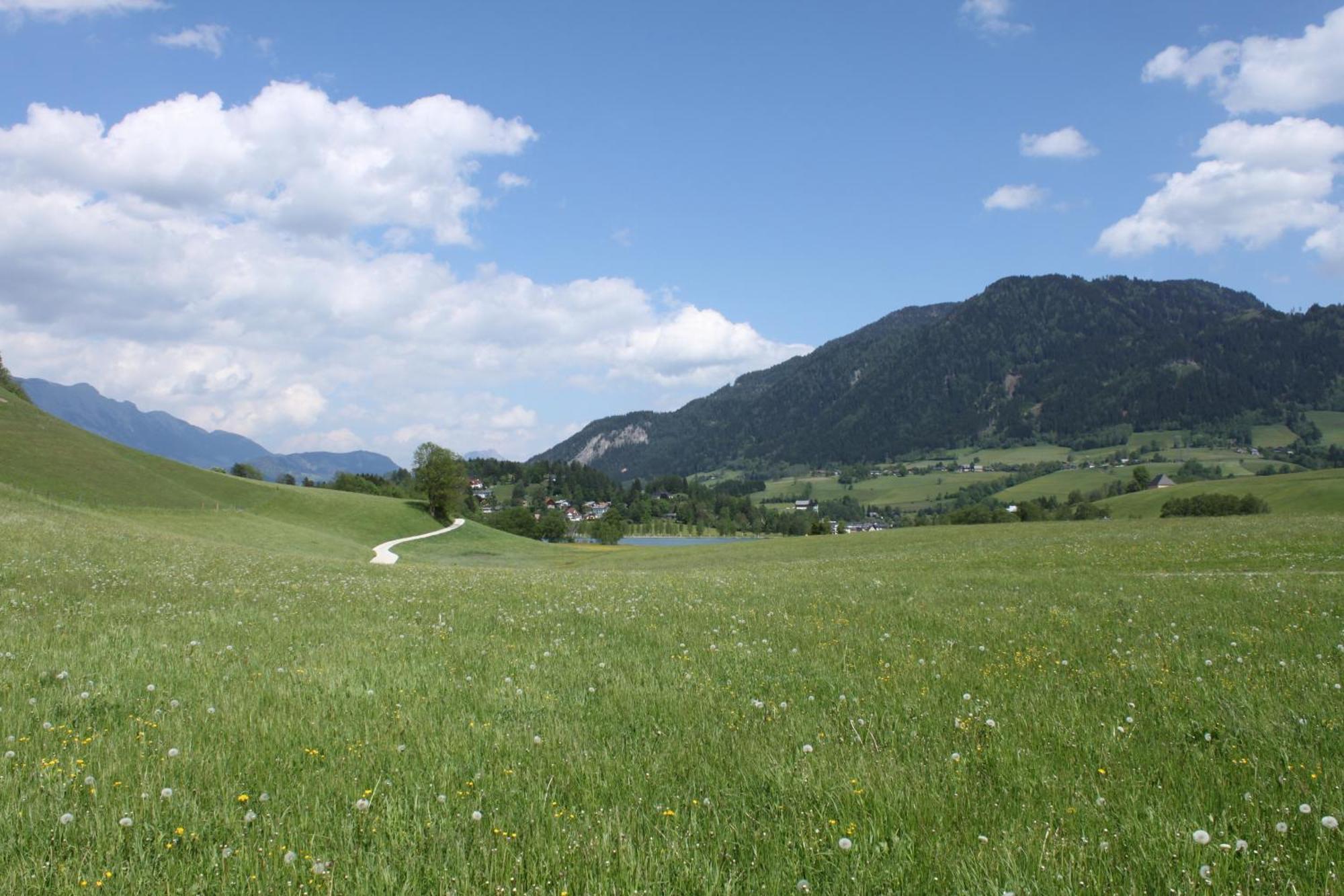 Pension Glitschnerhof Aigen im Ennstal Exteriör bild